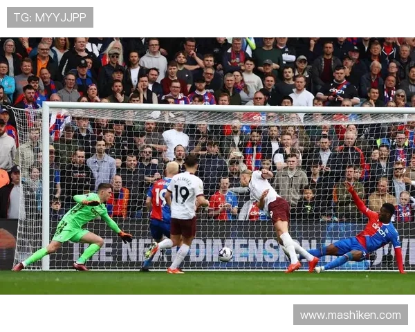 水晶宫足球队队员官网详细介绍队员训练情况和比赛中的精彩瞬间